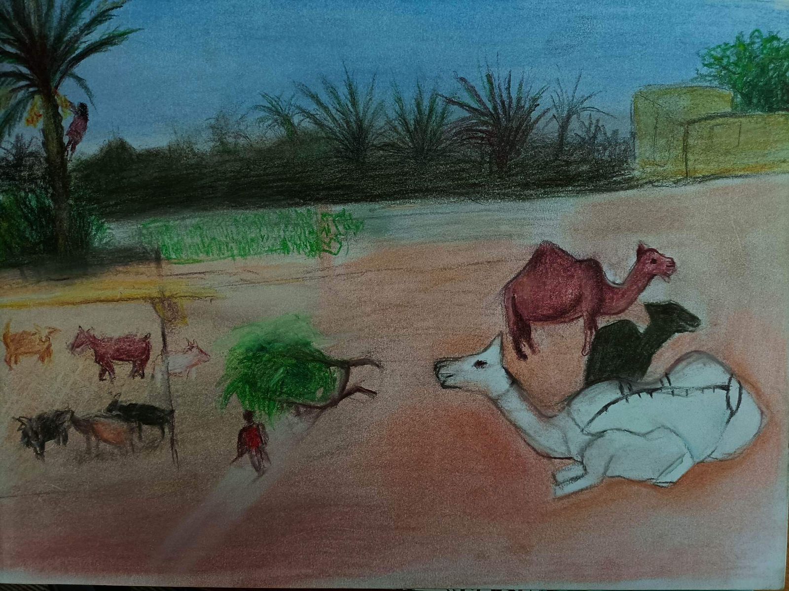 Turning the desert green