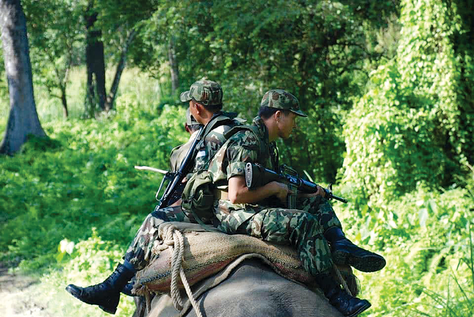 Does Nepal need the army to guard parks?