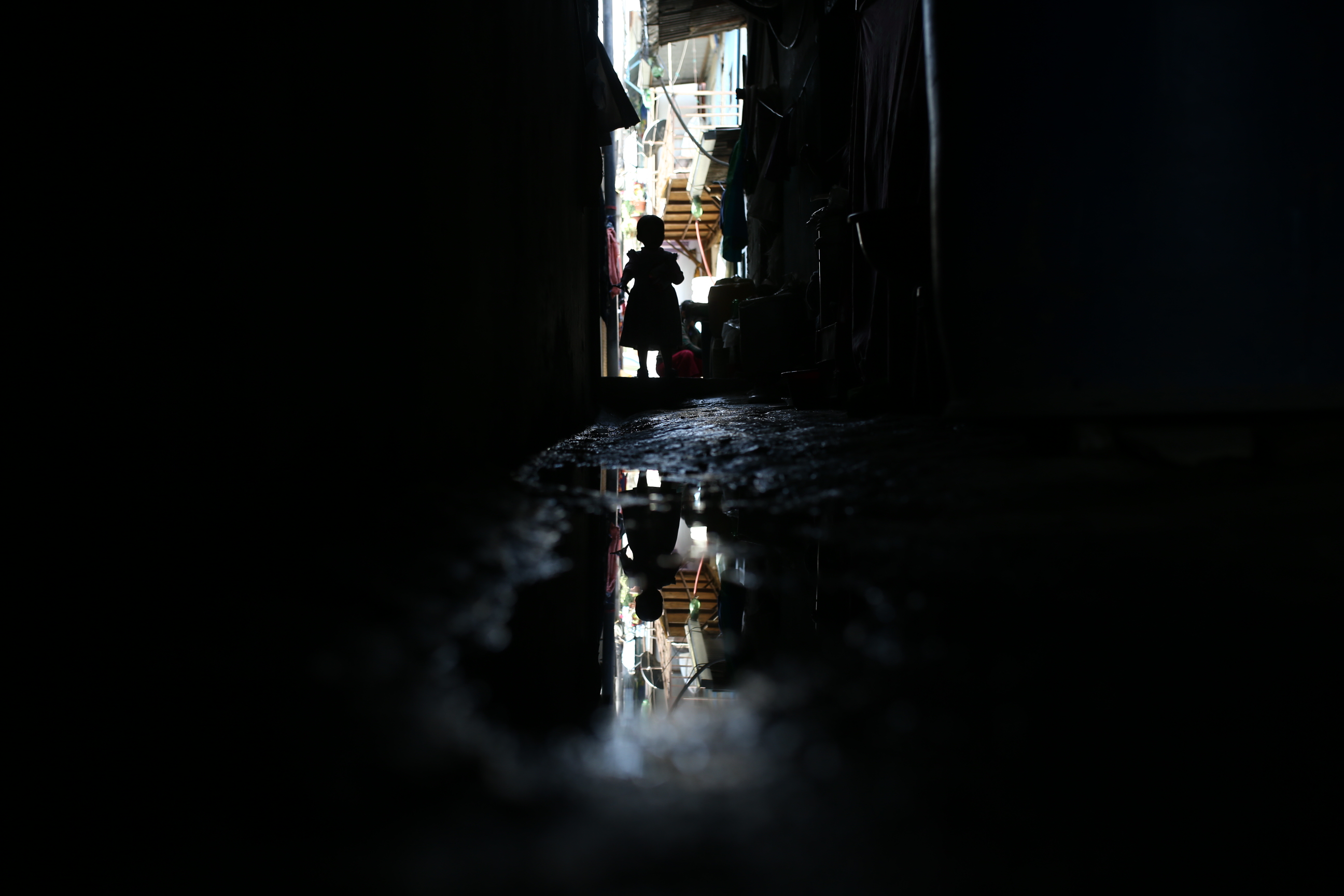 New dengue outbreak likely this monsoon