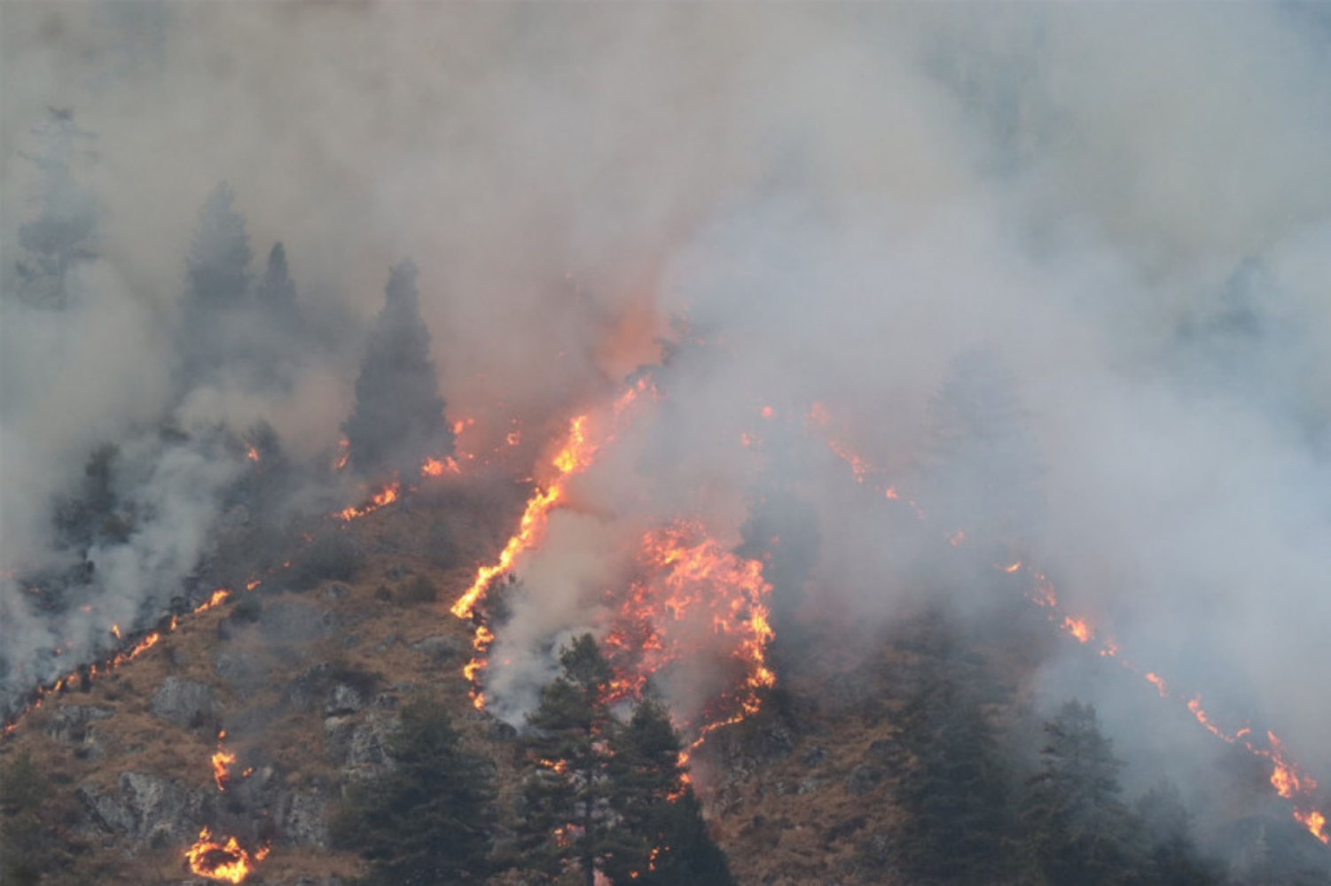 More pre-monsoon forest fires in Nepal