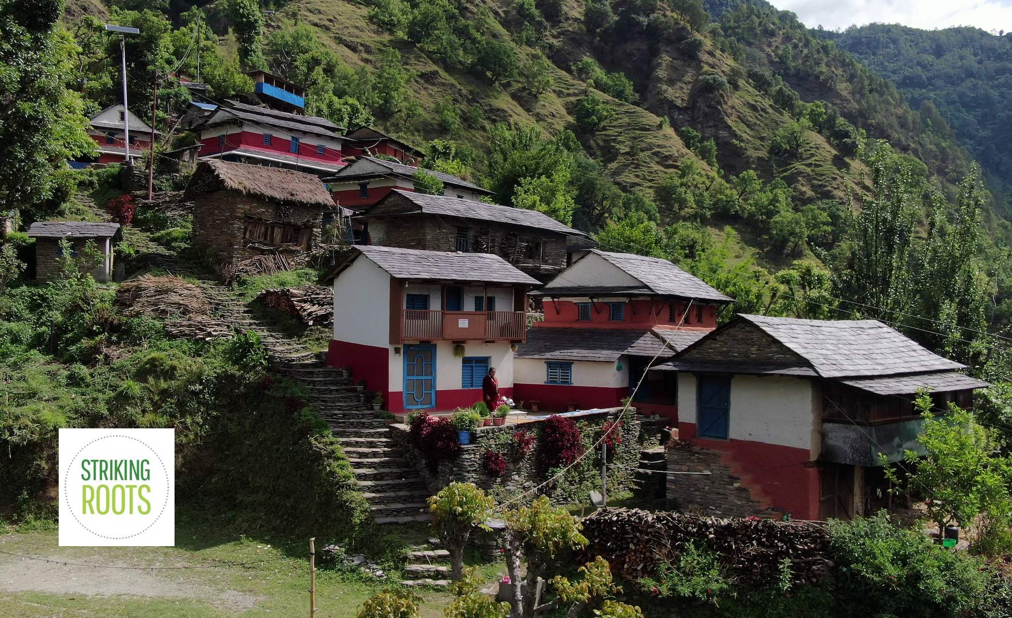 Staying home to create jobs