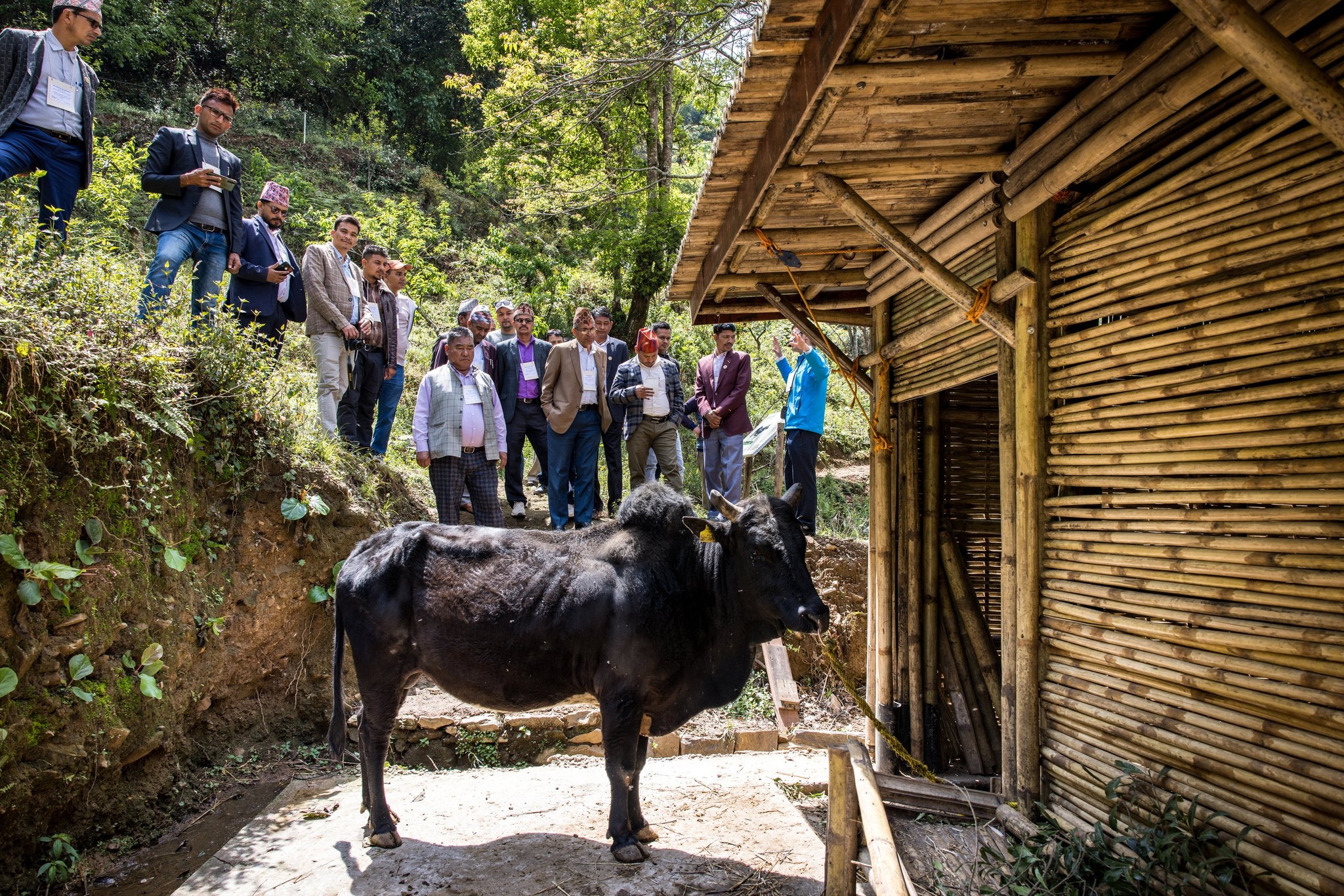 Small is possible at Godavari park