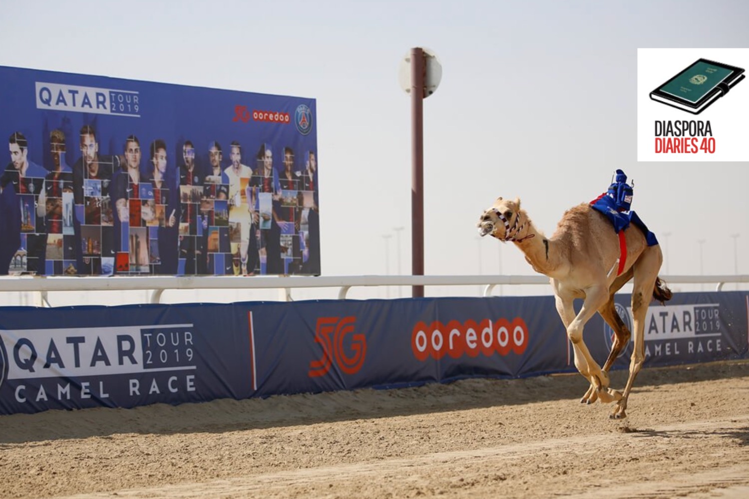 Nepali bonds with racing camel in Qatar