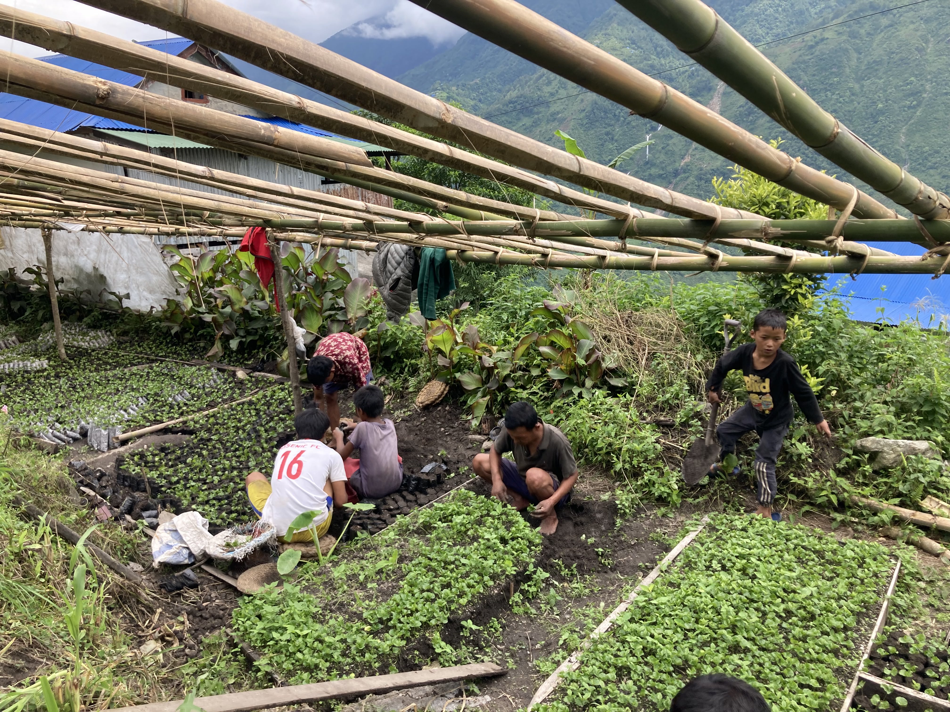 Make way for Makalu Coffee