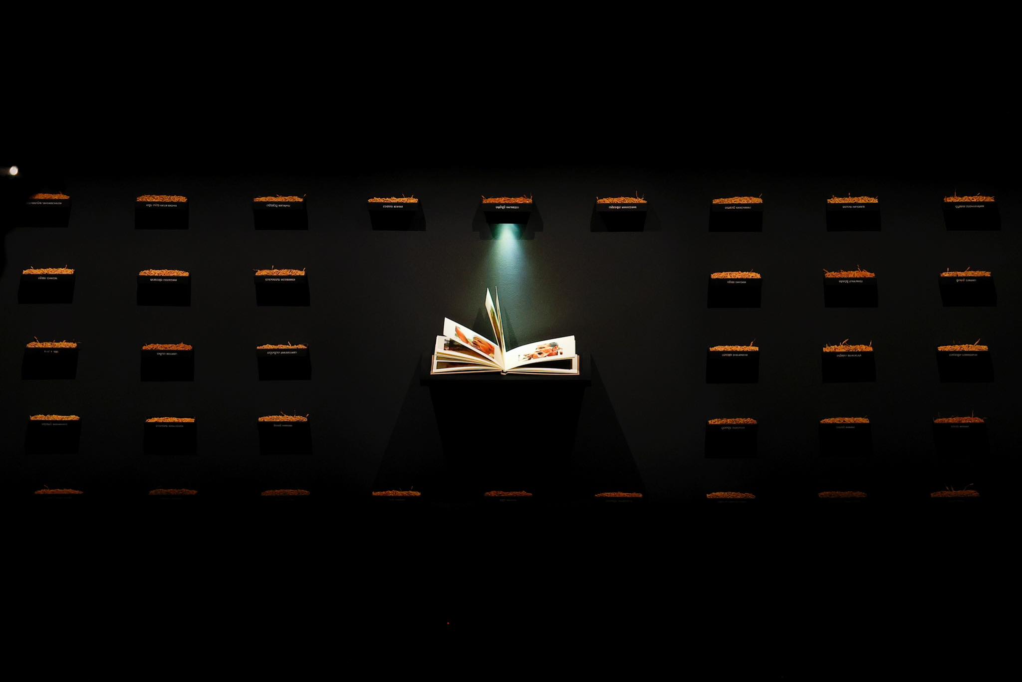 Seeing the forest and the trees