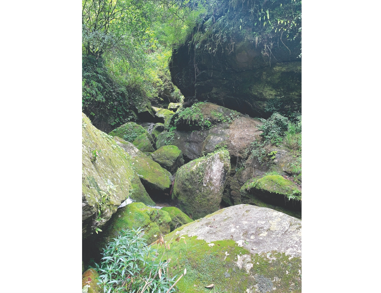 Nagmati won't clean Bagmati