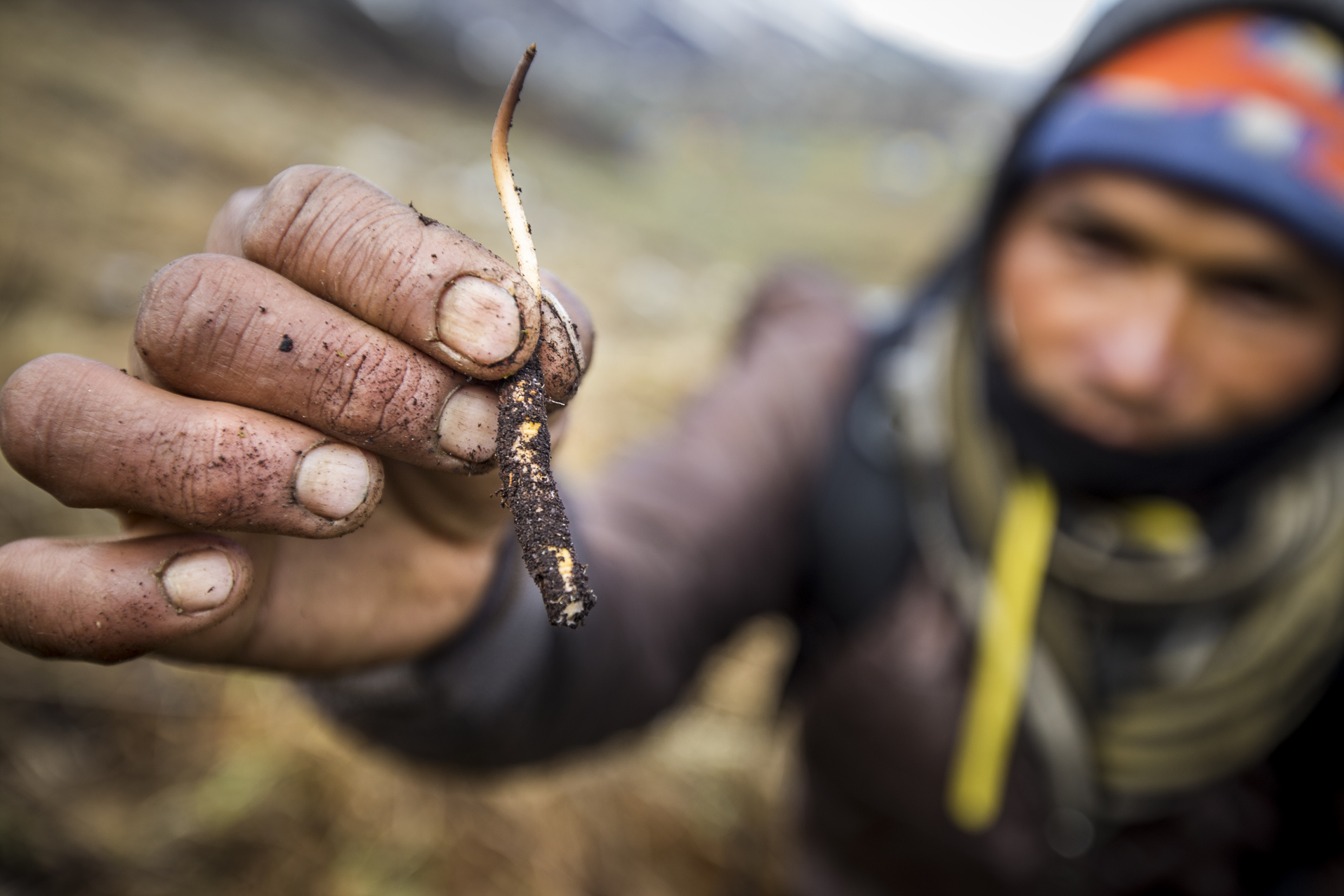 Biosphere on the brink