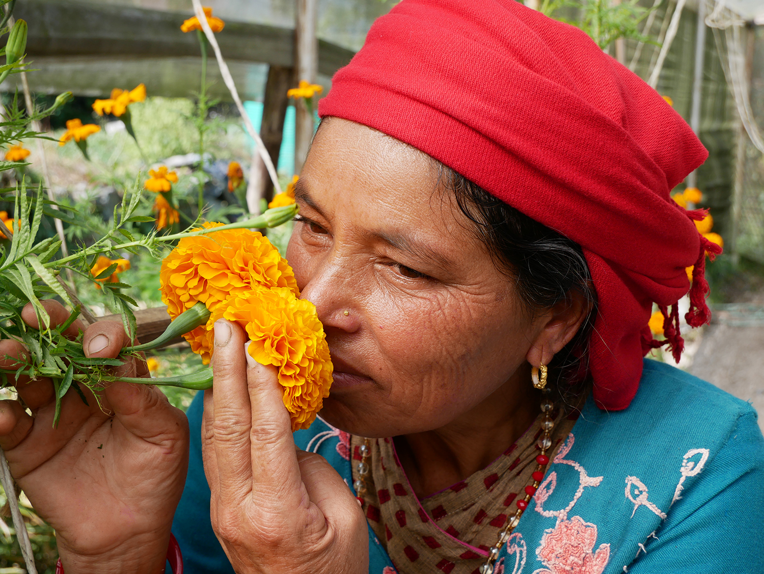 Reviving Nepal’s farms, naturally