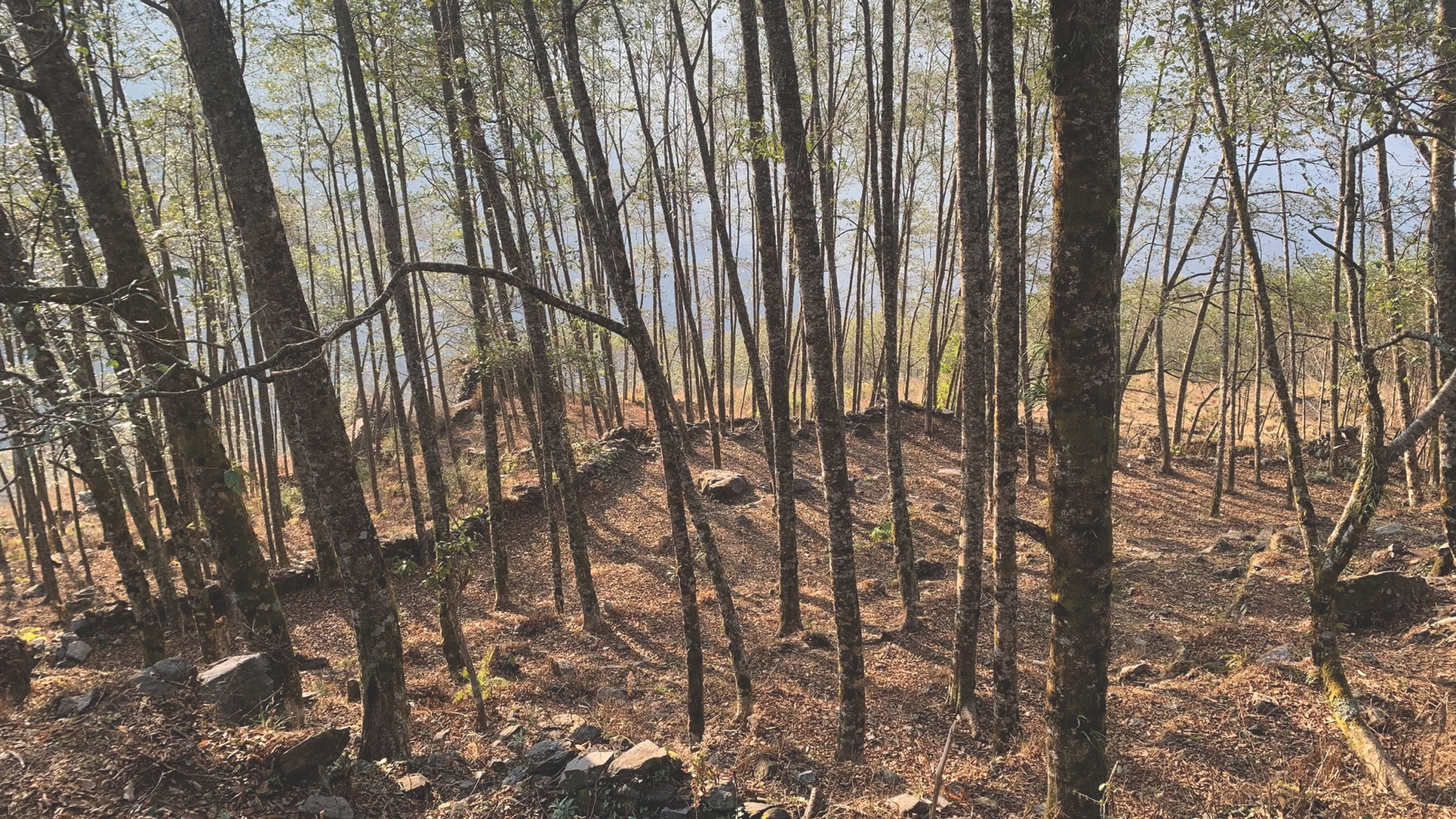 Nepalis are voting with their feet
