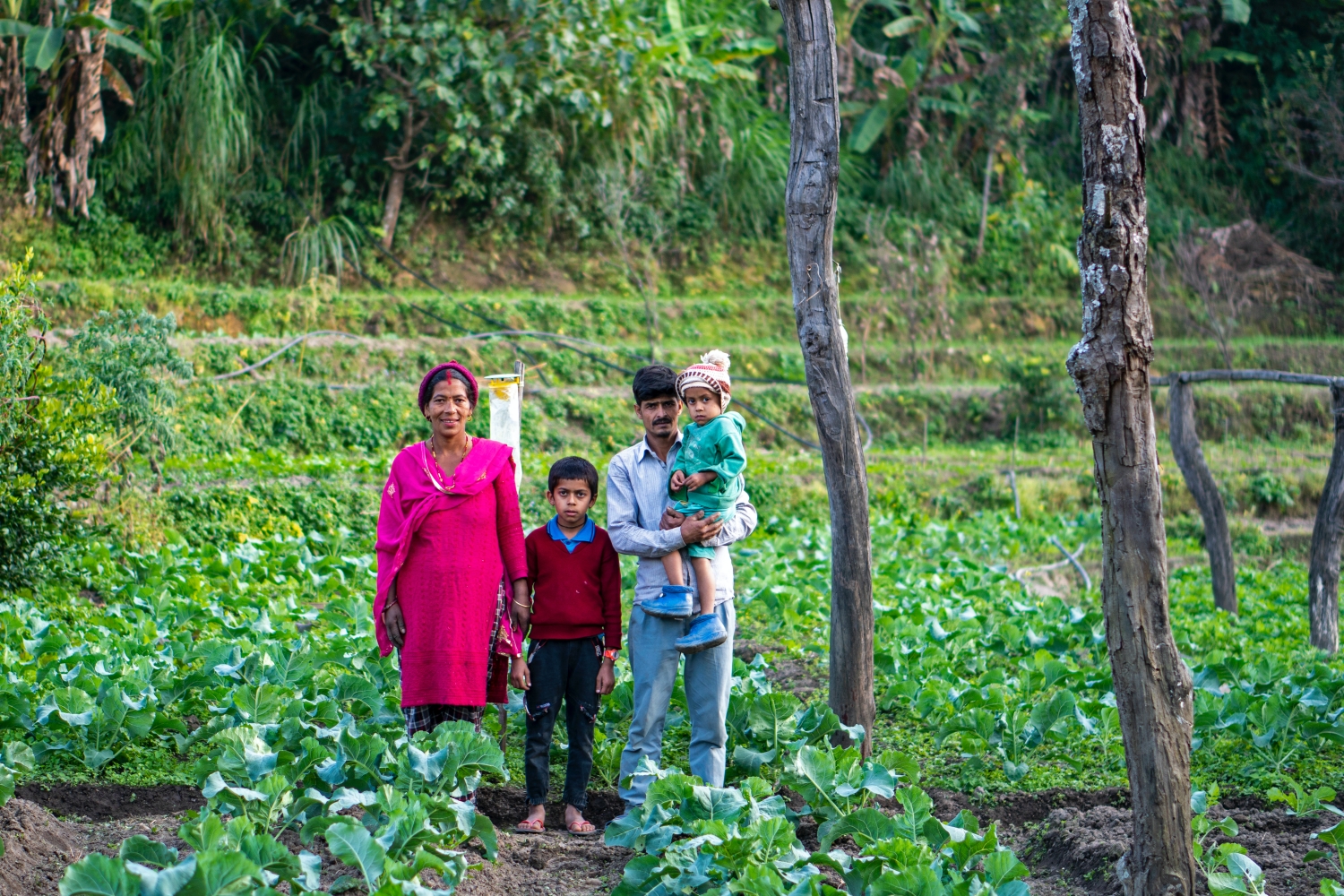 Families that farm together stay together