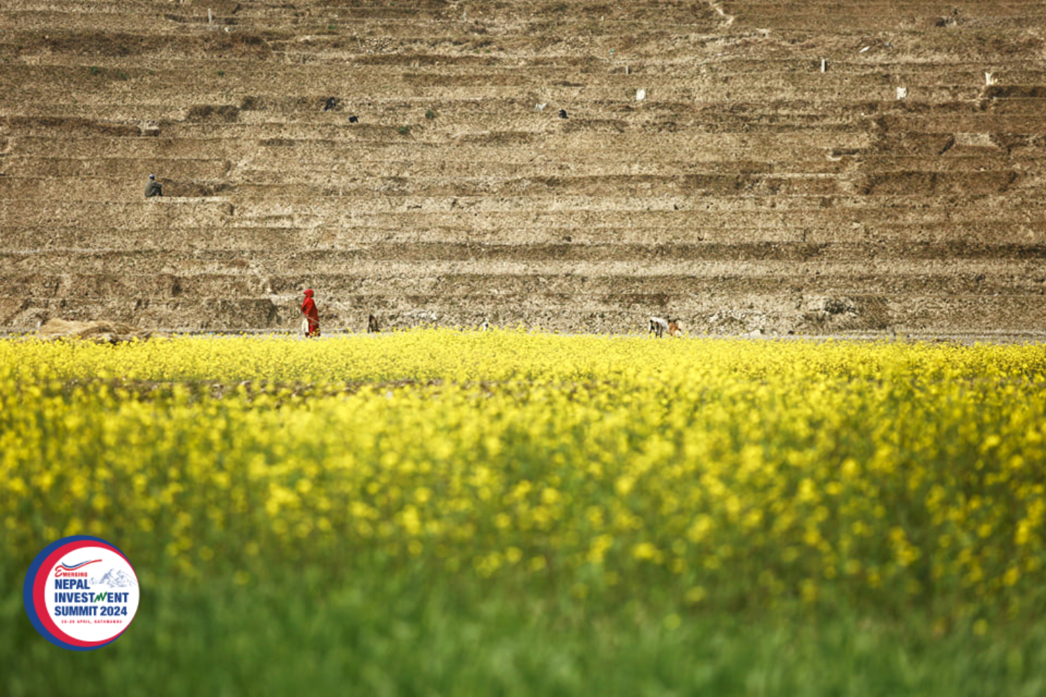 Nepal looks at alternative investments