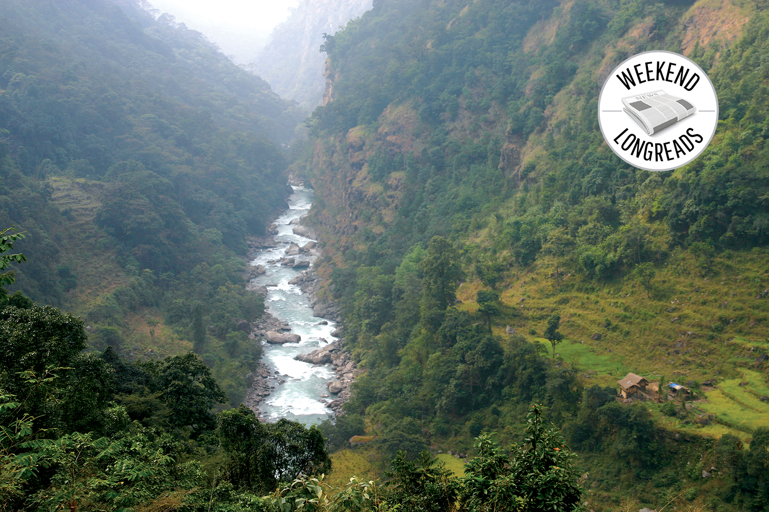 Either too little, or too much water