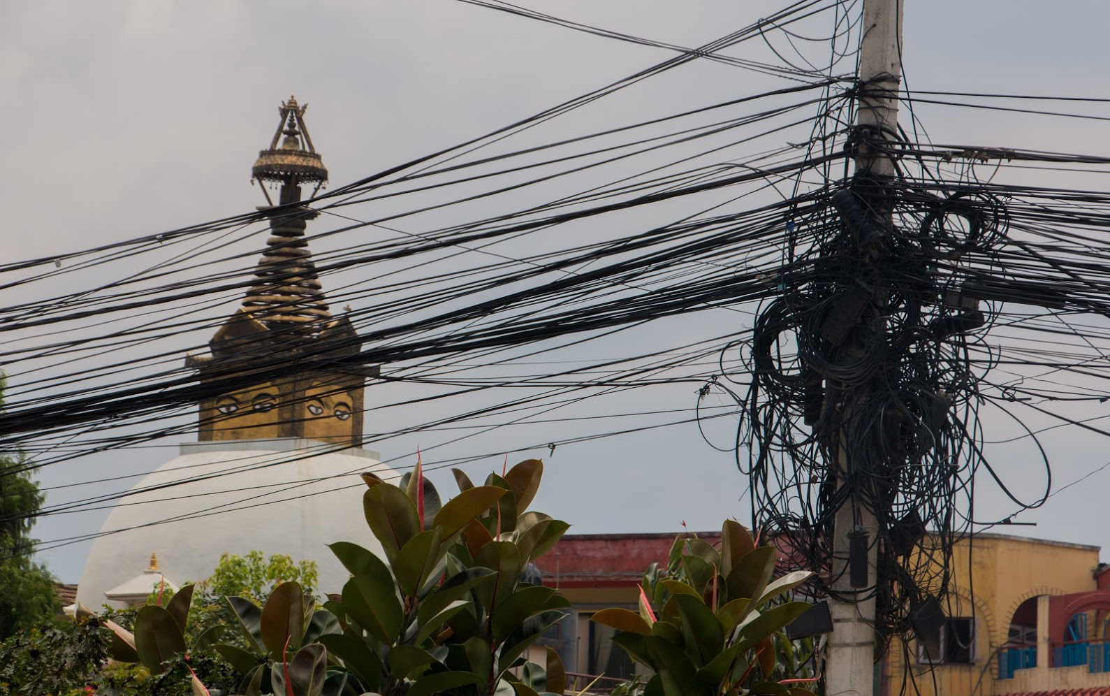 Flip-flop policies dishearten domestic investors