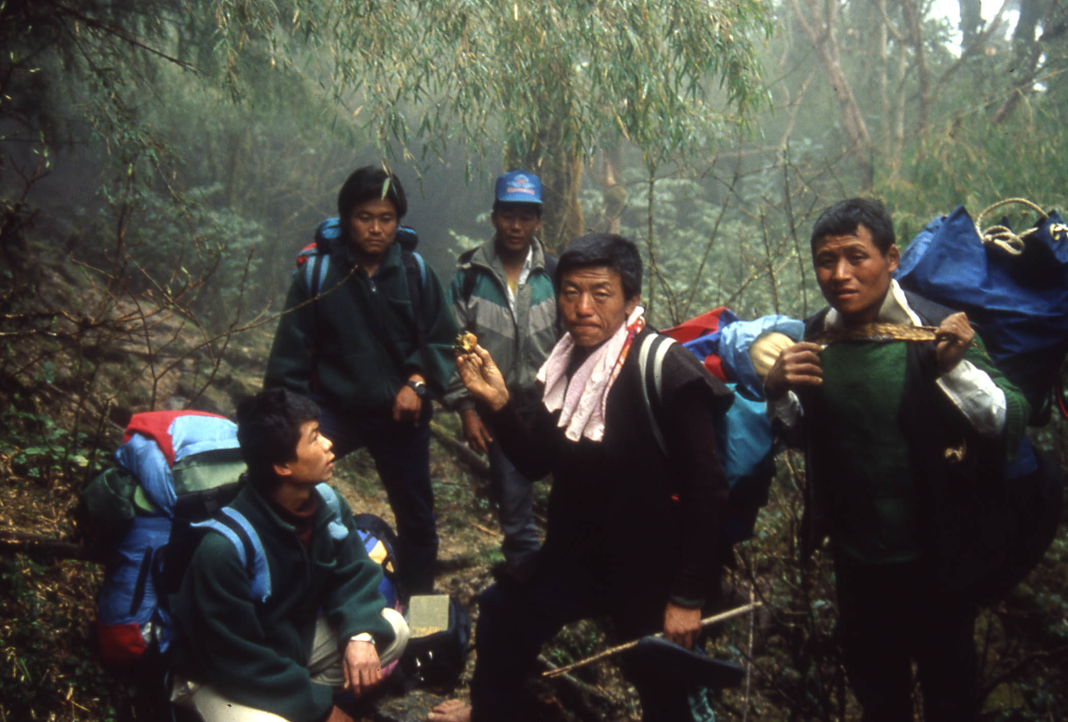 Tracking Himalayan wildlife