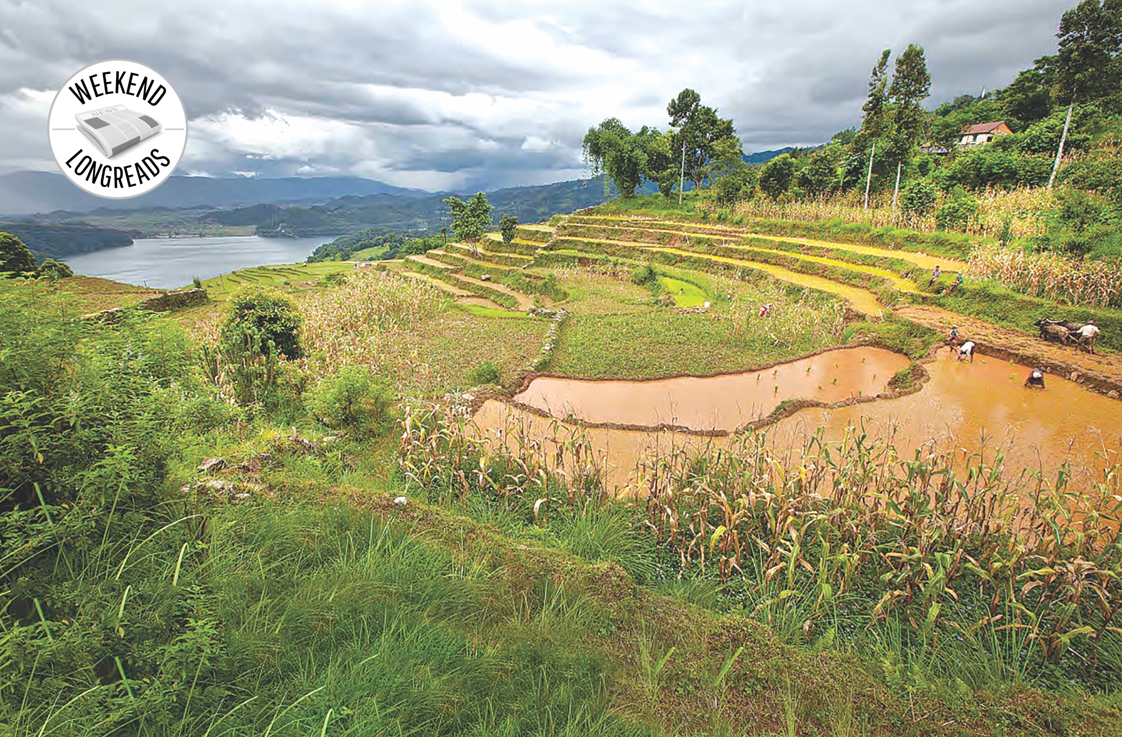 Helping farmers who help themselves