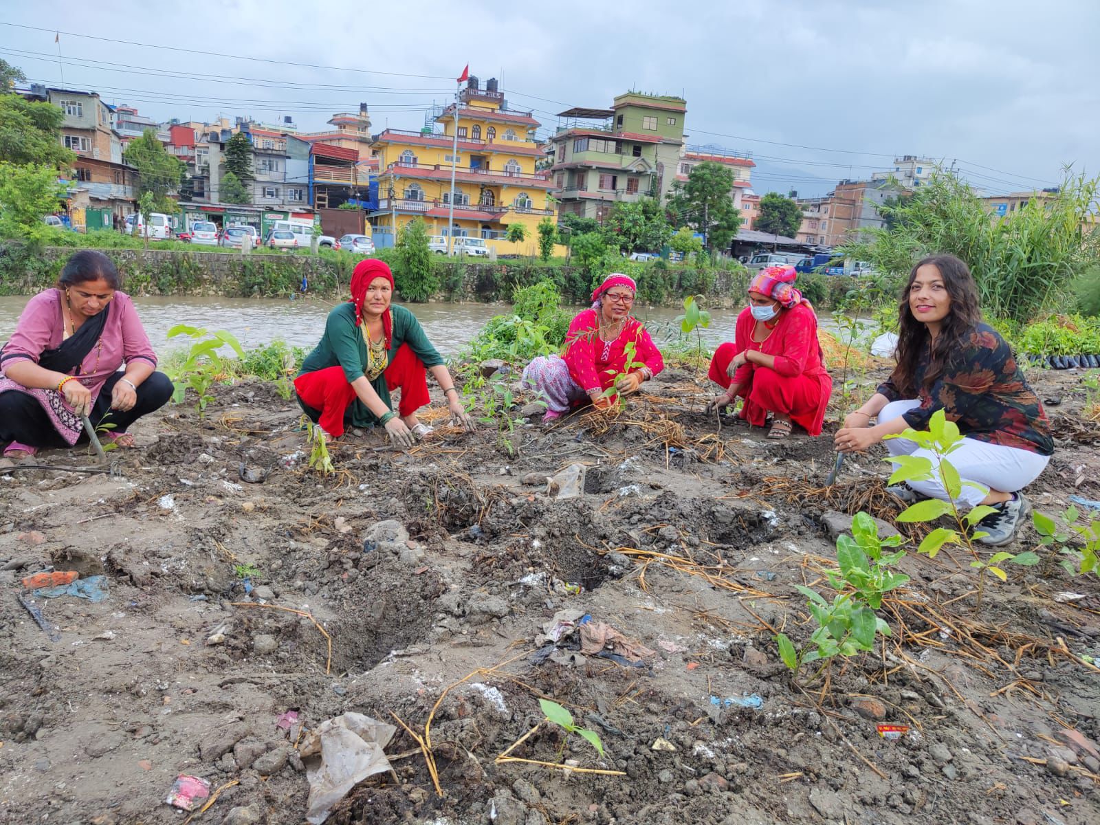Saving cities with trees