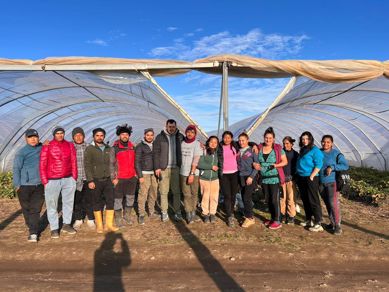 Low-hanging fruit in UK farms