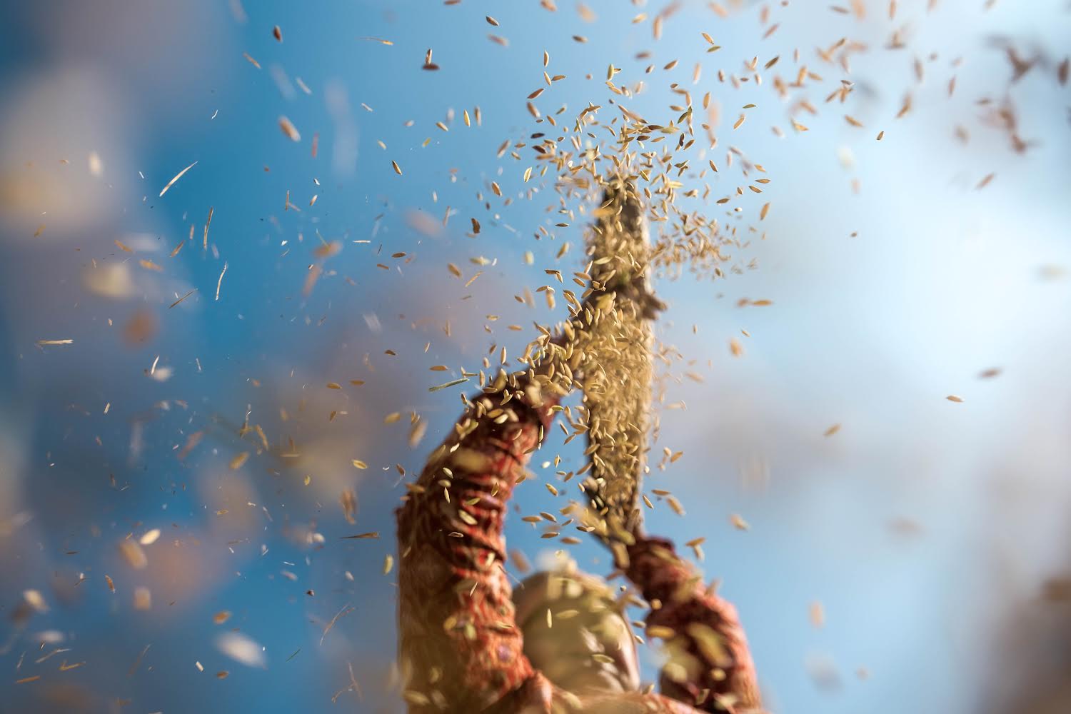 Farm subsidies: money down the drain