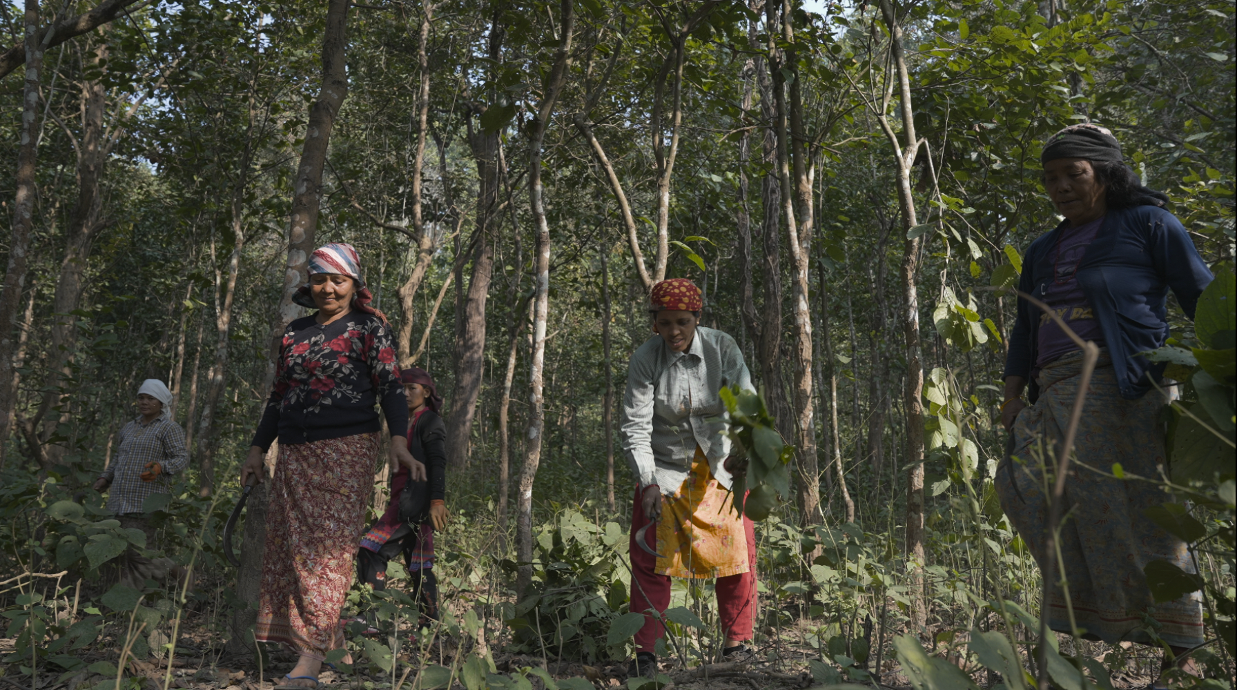 Community reduces wildfire risk, increases wellbeing