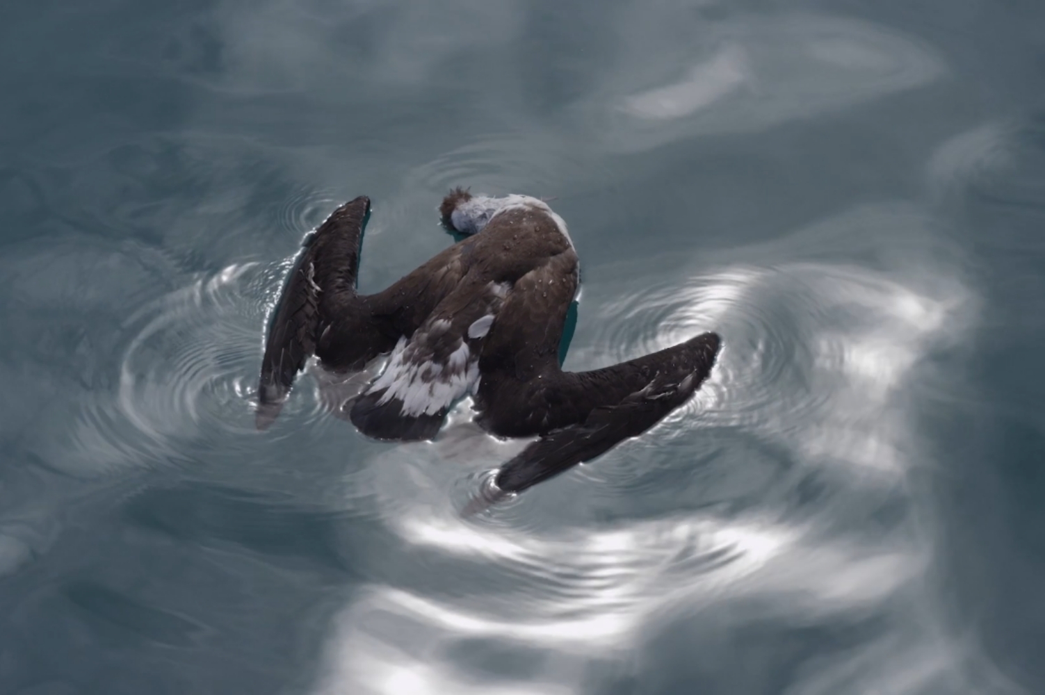 Himalayan tipping points