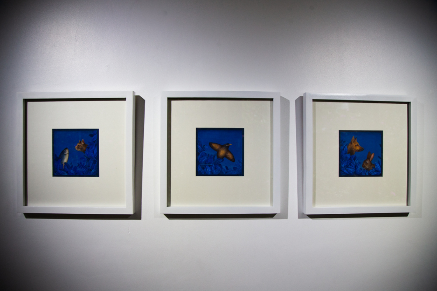 An ode to the ordinary