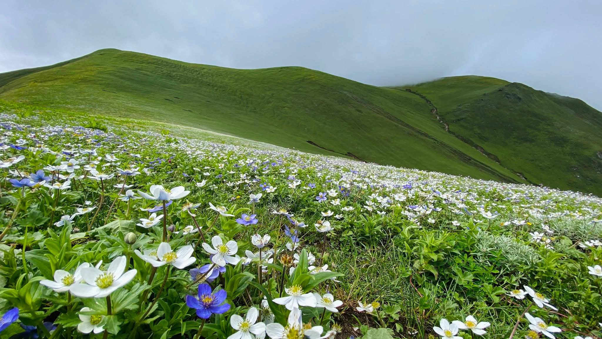 Visit Nepal in the monsoon