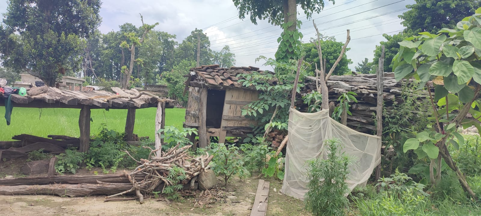 Menstrual banishment moves to the Tarai