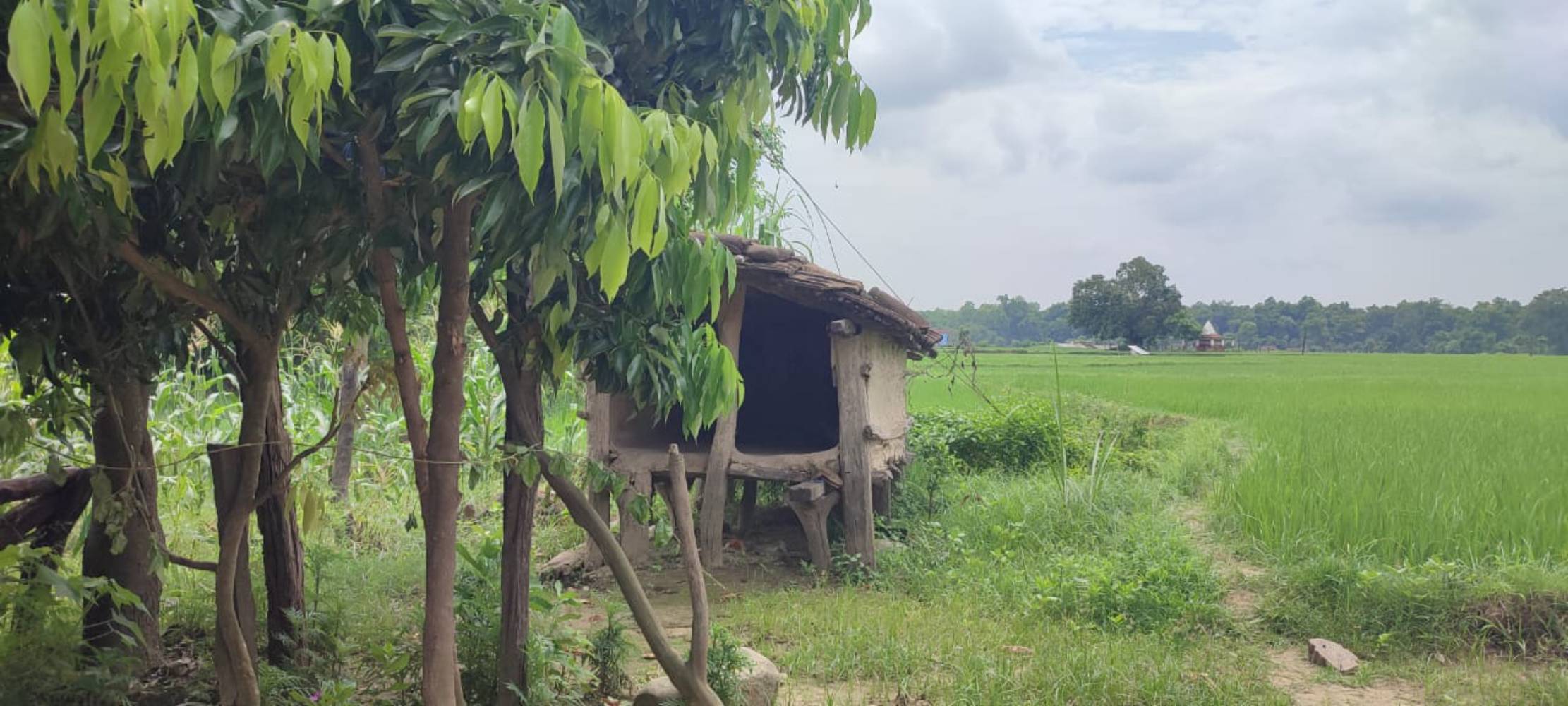 Menstrual banishment moves to the Tarai