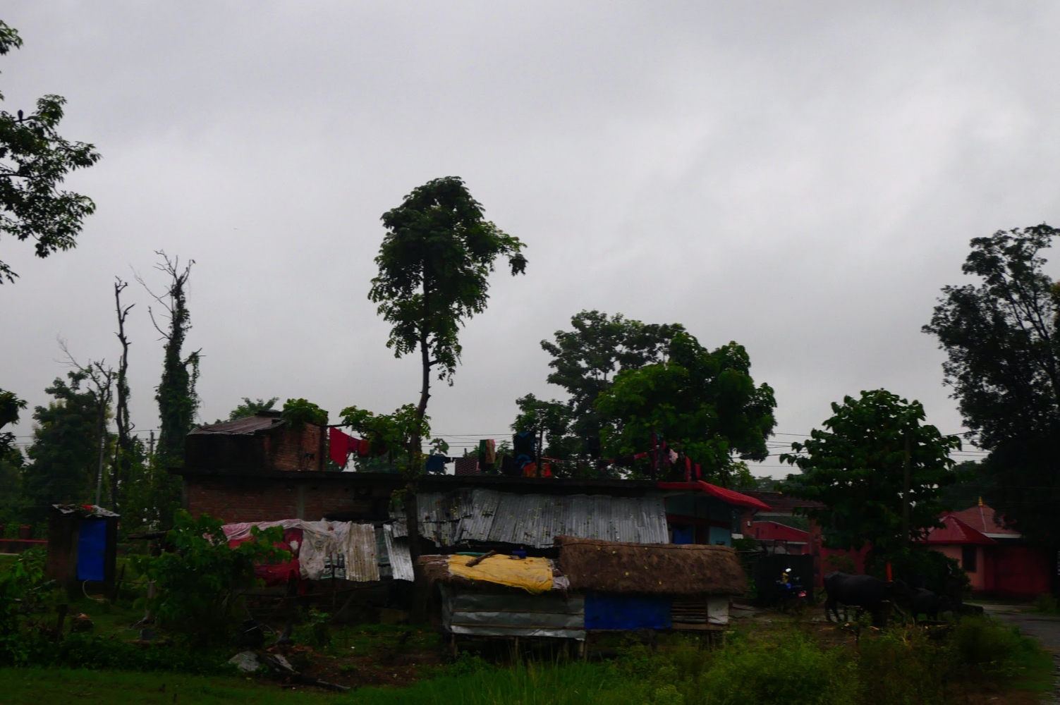 The cost of preserving Nepal's past NT