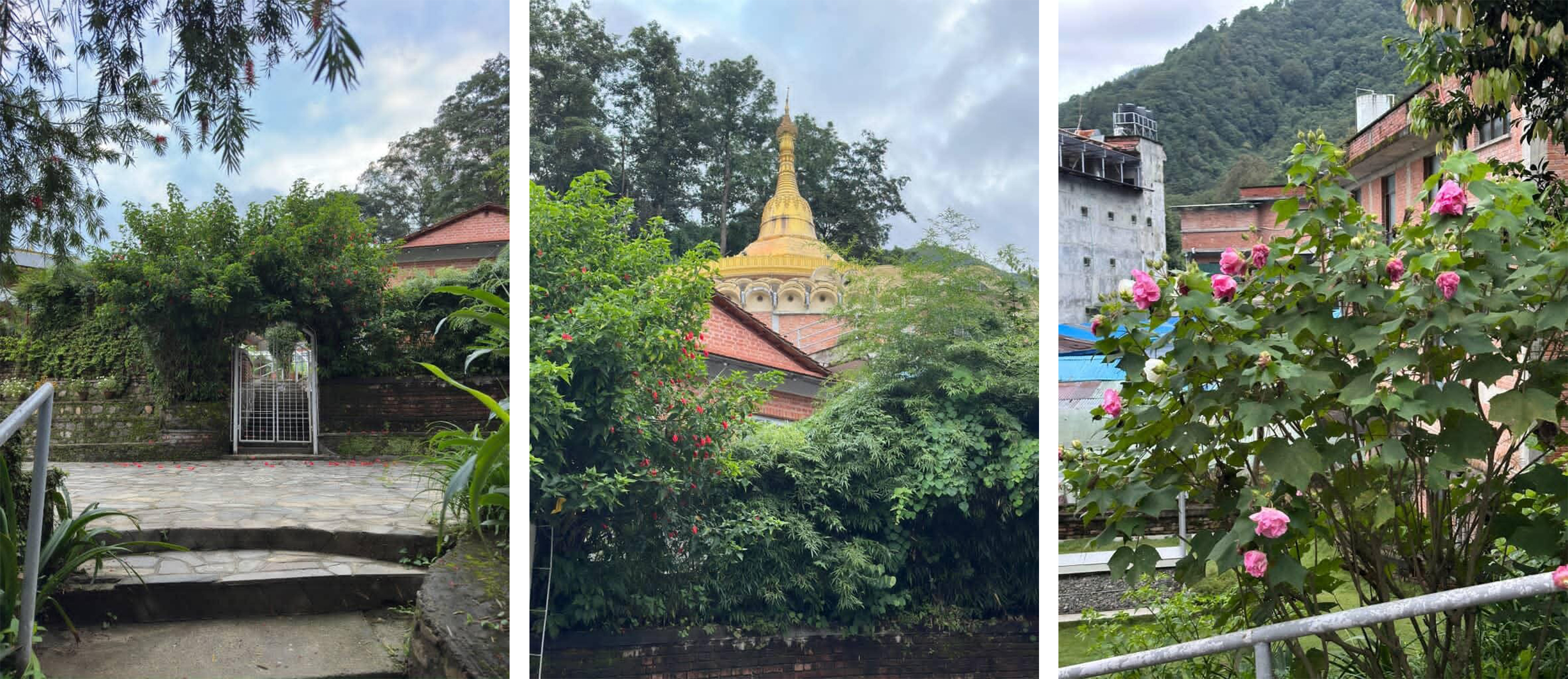 Vipassana during Nepal revolution