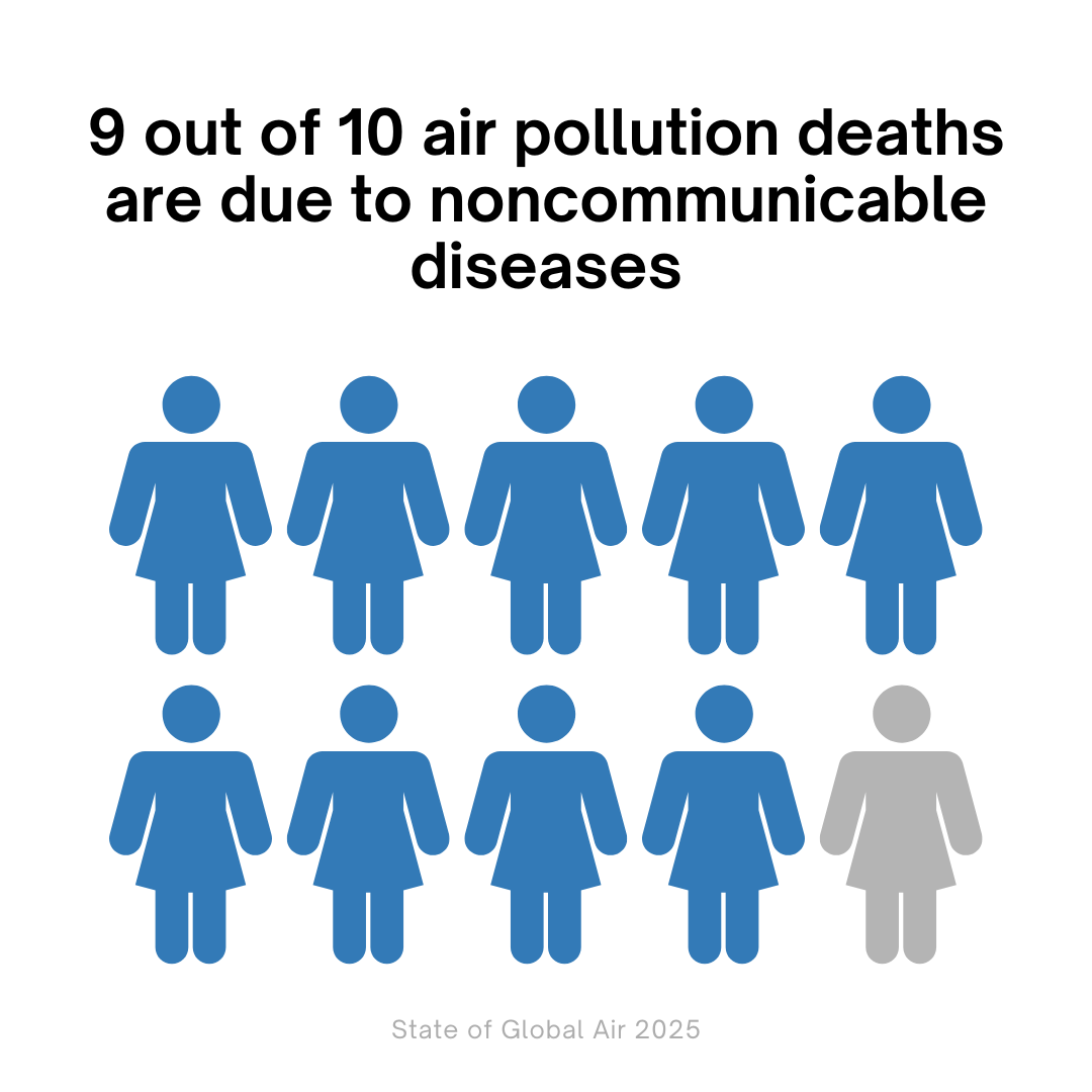 Air pollution killing season starts early NT