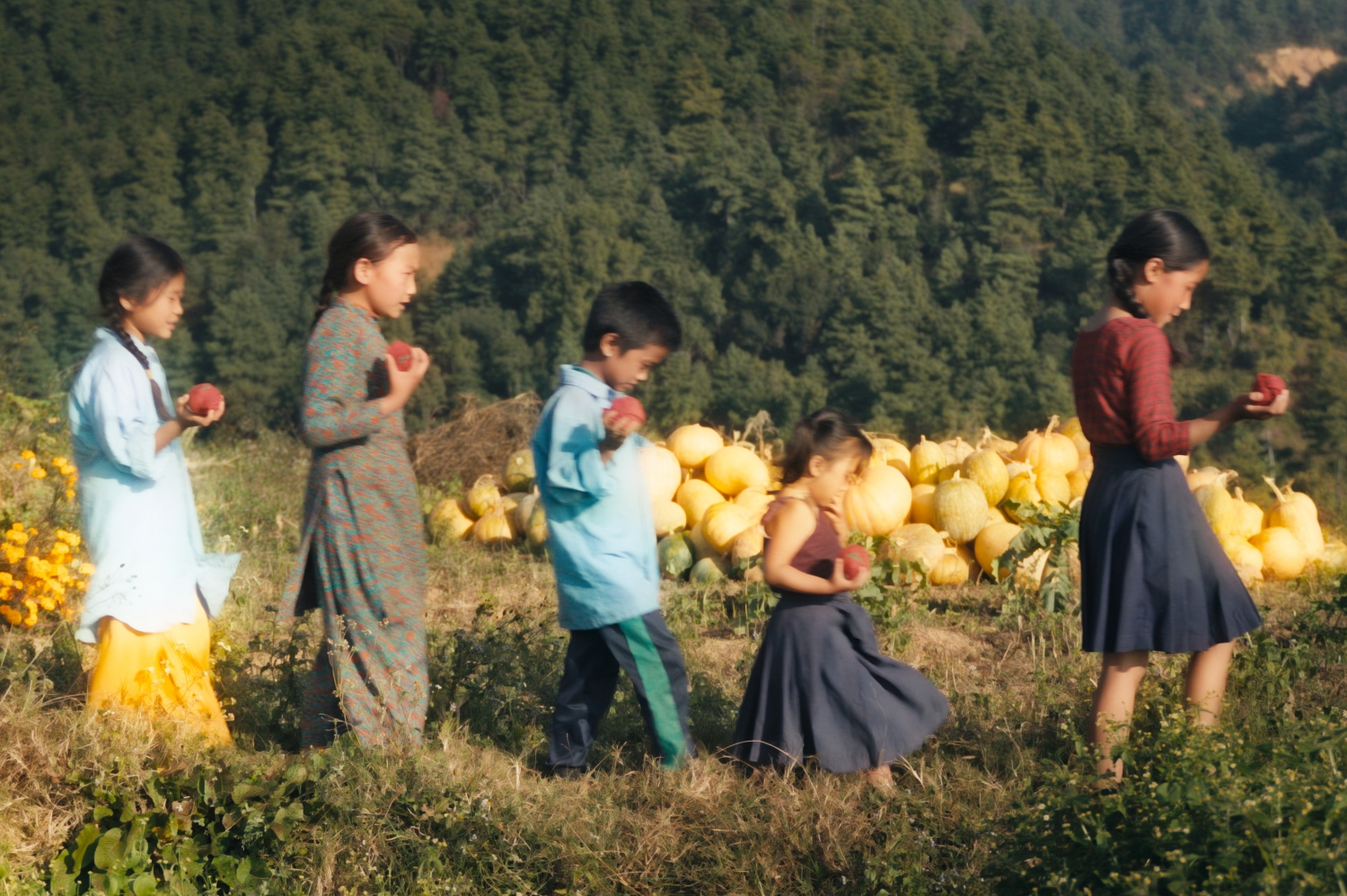 Cinema’s shared language