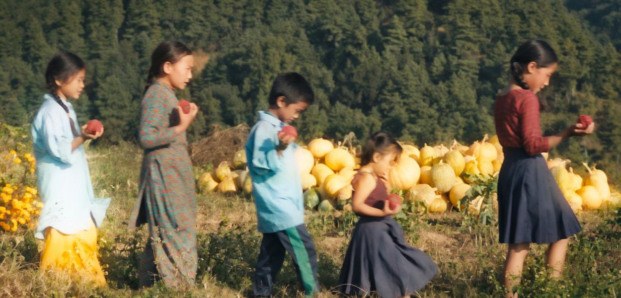 Cinema’s shared language