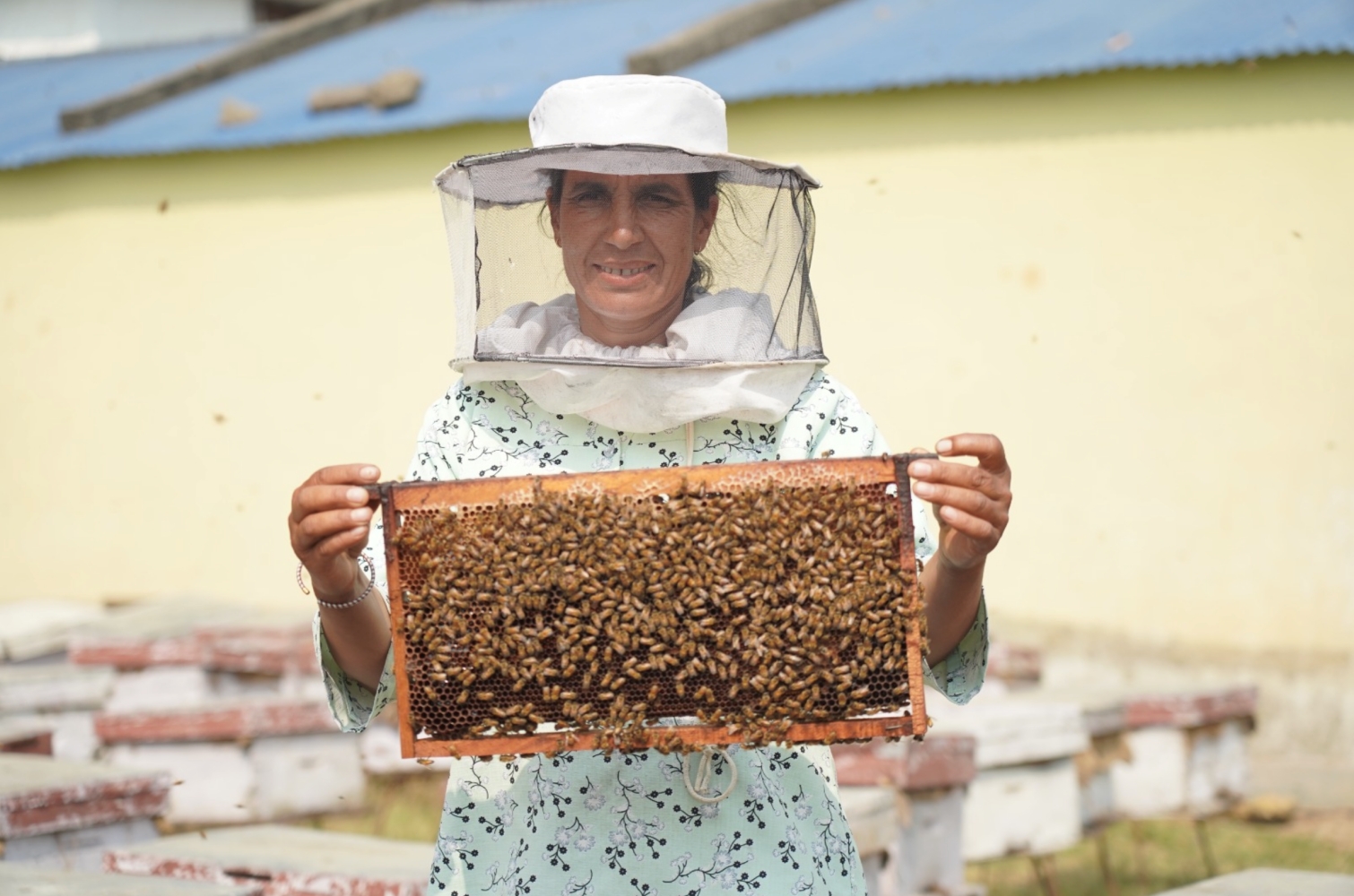 The beekeeper of Surkhet
