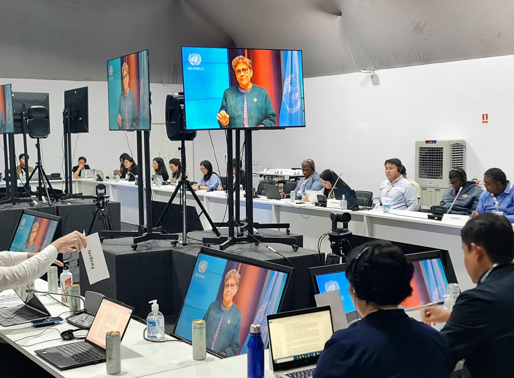 Forging Ambitious Global Partnerships for Sustainable and Resilient Graduation of Least Developed Countries