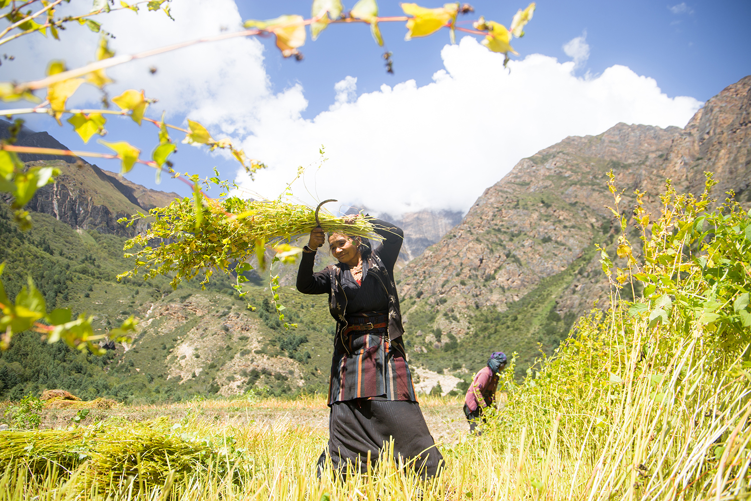 Mountains at the tipping point