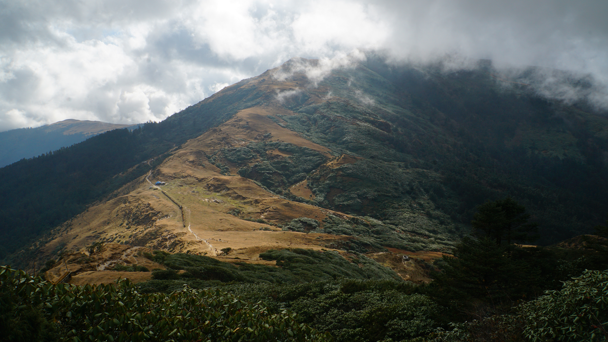 Going offtrek in Solu