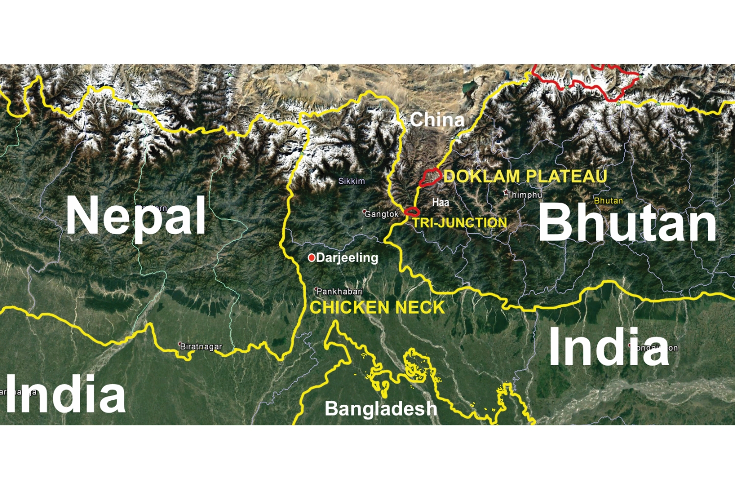 Some chicken, some neck