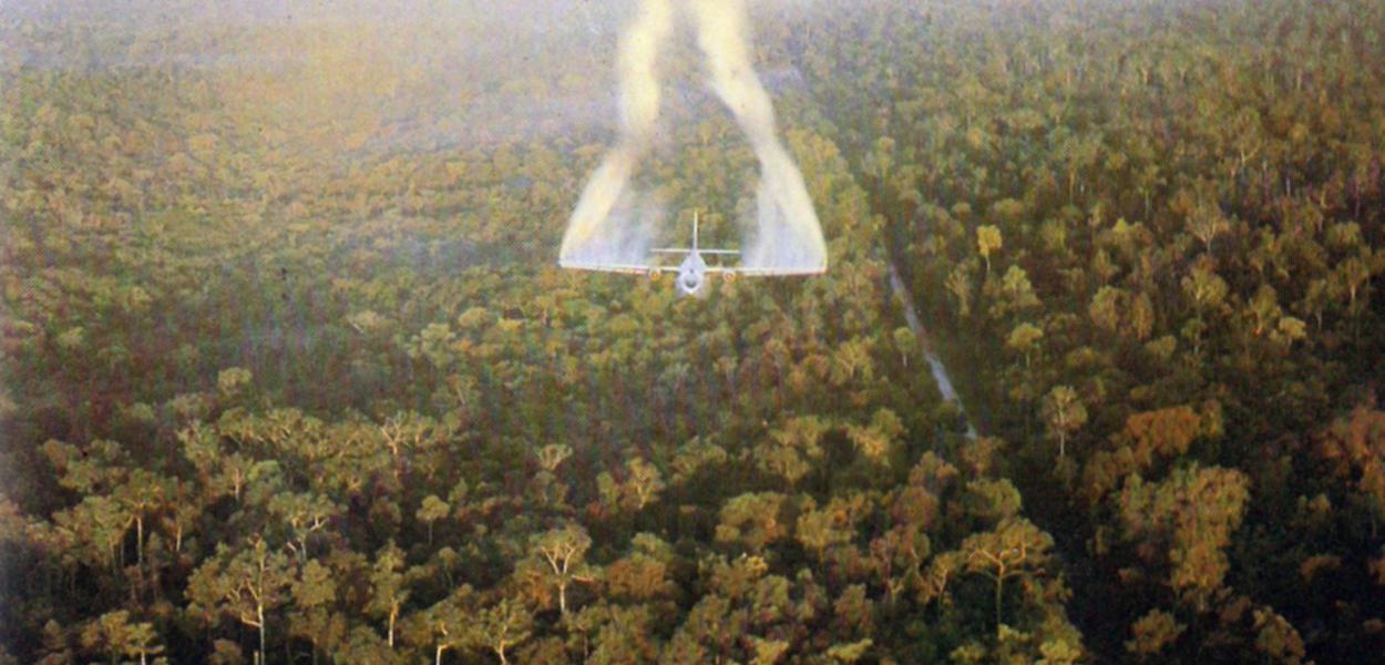 The ecological impact of war