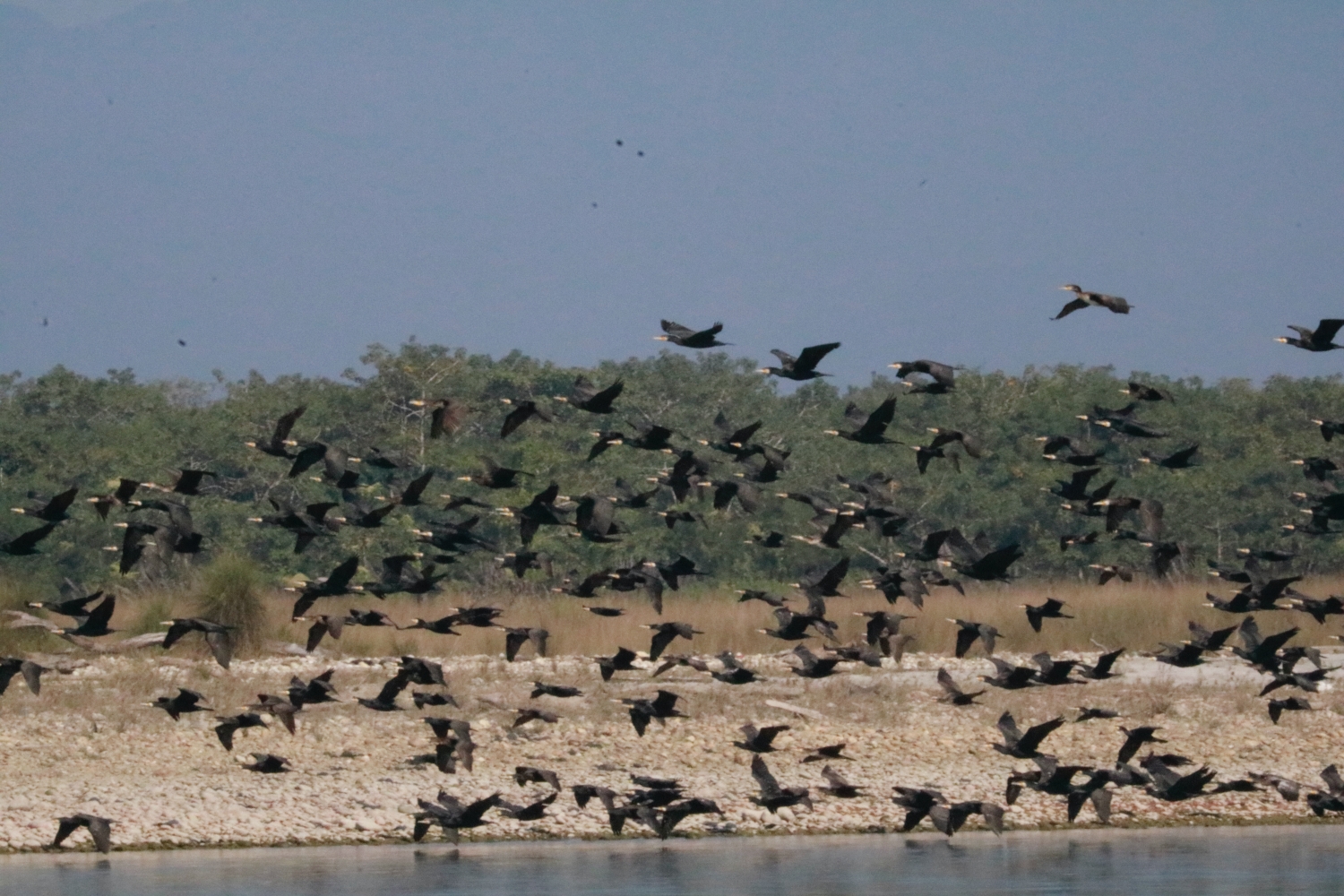 Chitwan National Park NT