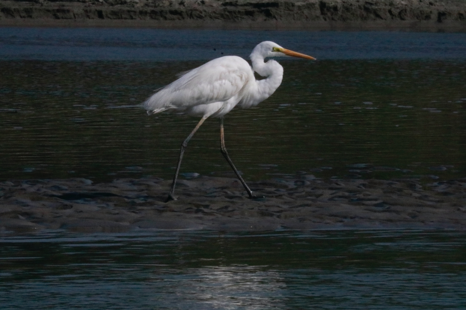 Chitwan National Park NT