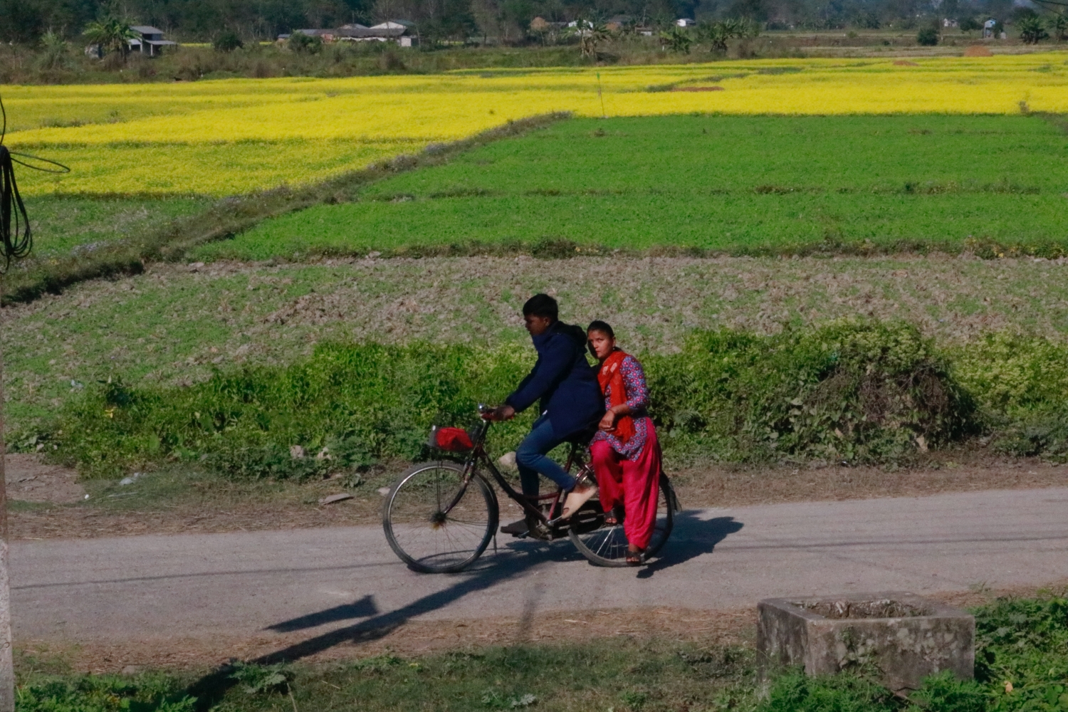 Chitwan National Park NT