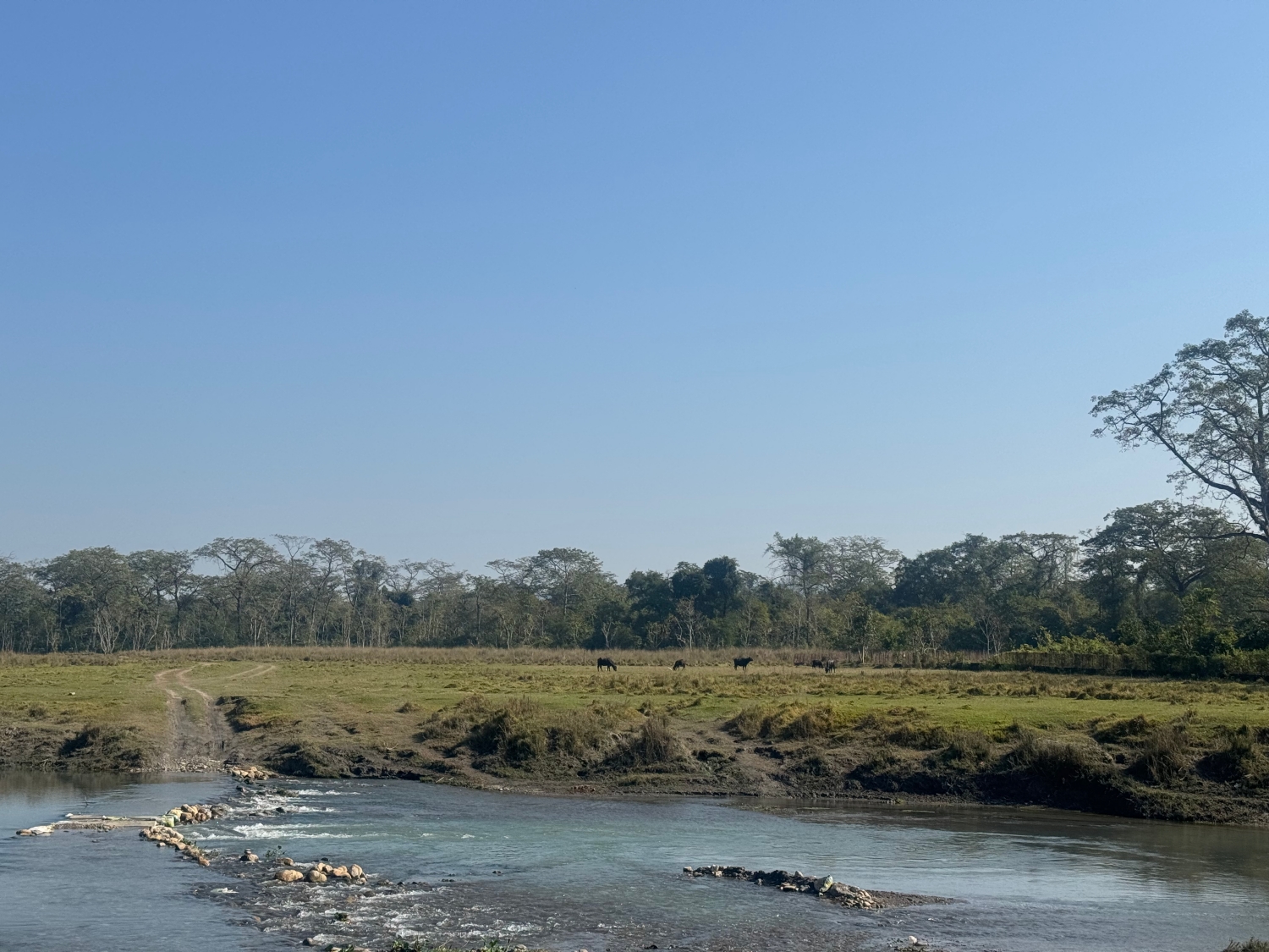 Chitwan National Park NT