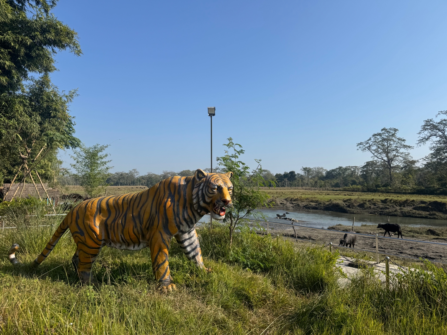 Chitwan National Park NT