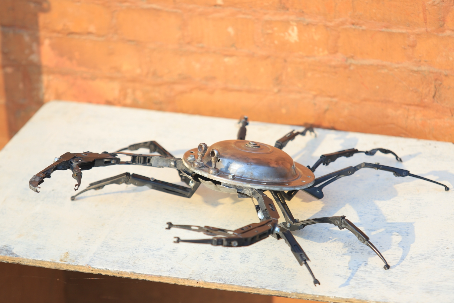 Saurab Koirala exhibition Taragaon Next NT