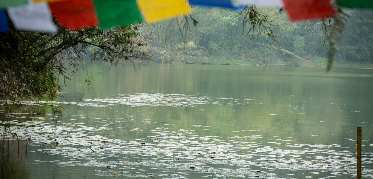 Where culture meets ecology