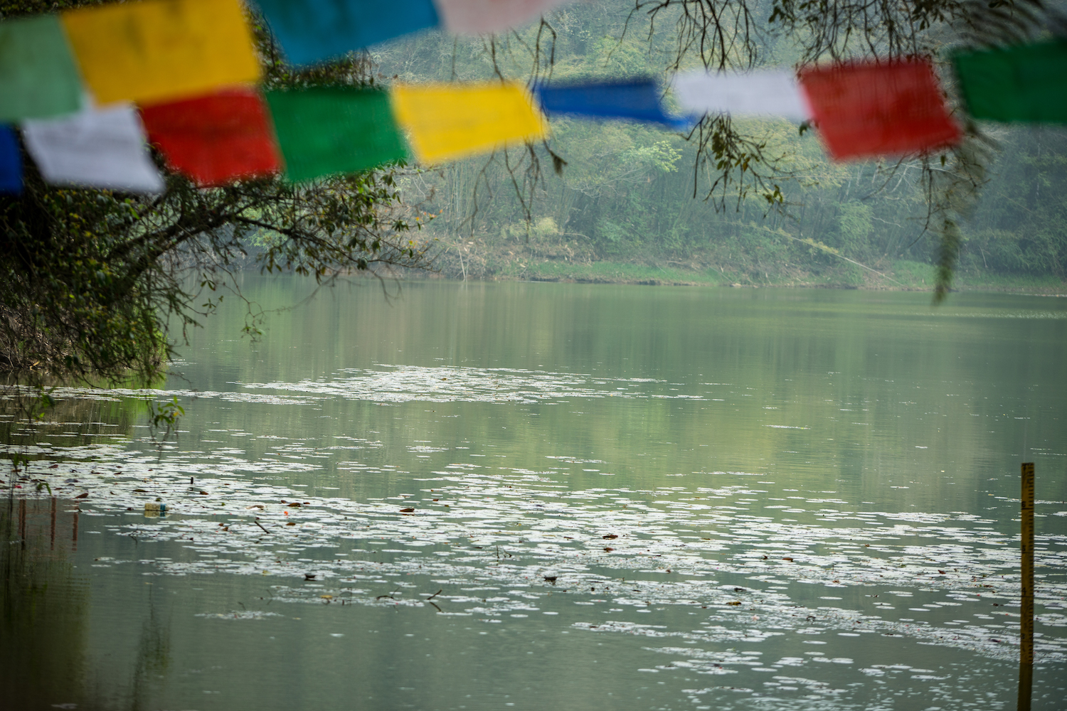 Where culture meets ecology