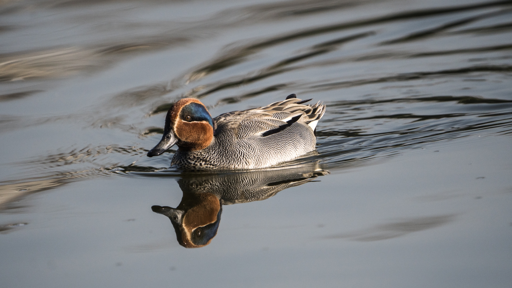 Nepal's vanishing wetlands NT