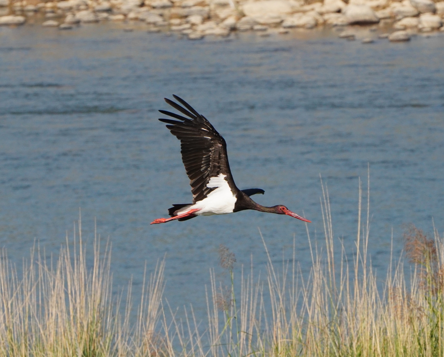 Nepal's vanishing wetlands NT
