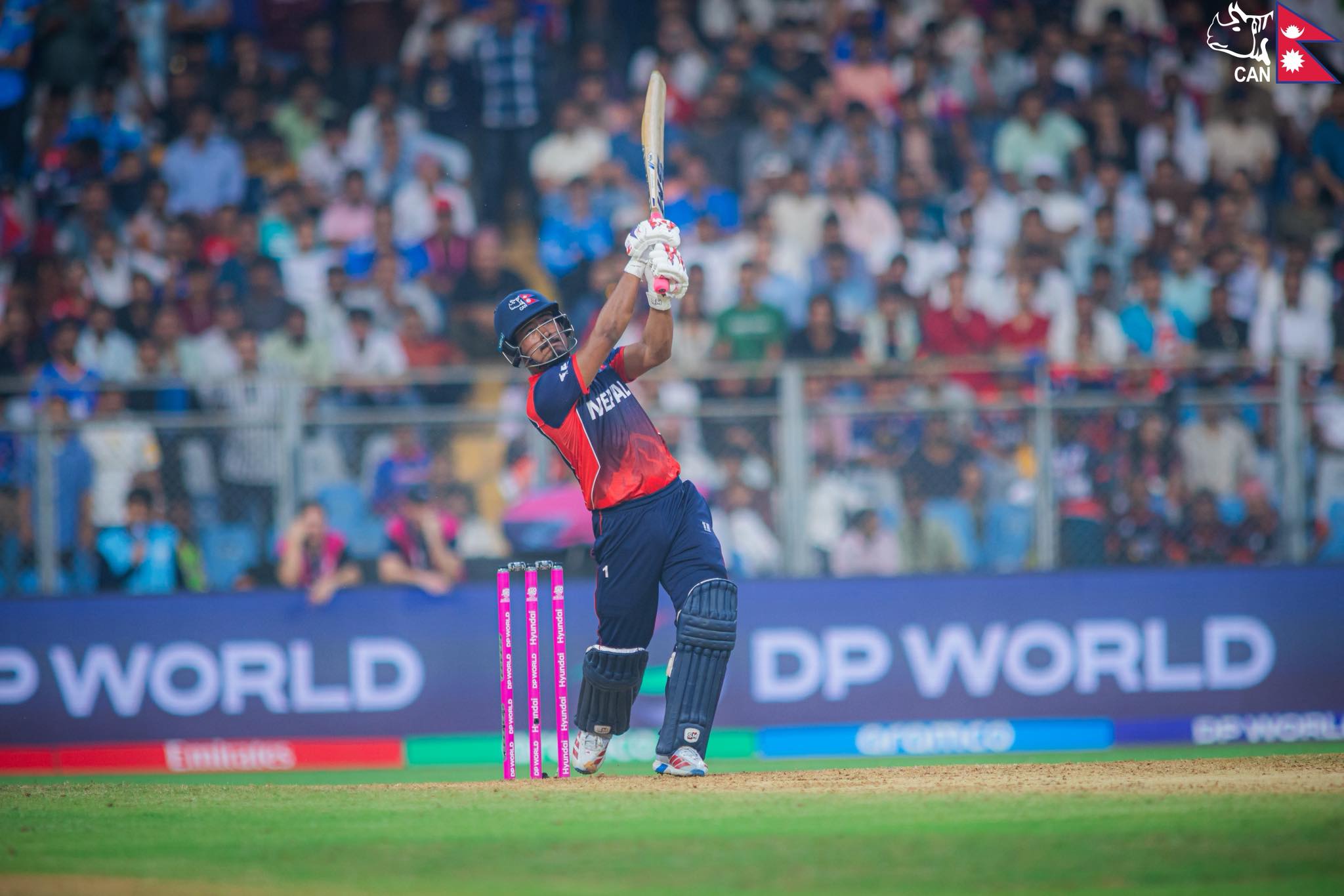 Rhinos hit the ground running